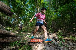 BIB: 
                            <button type="button" onclick="openModal(19388042)" class="btn btn-primary btn-sm float-right btn-popup" data-toggle="modal" data-target=".modal-high-quality">
                        <i class="fas fa-shopping-cart"></i> Add to Cart
                    </button>
                                            <button type="button" onclick="isThisMe(19388042, true)" class="btn btn-success btn-sm float-right btn-popup btn-isme hidden" data-toggle="tooltip" data-placement="bottom" title="นี่คือรูปของคุณใช่ไหม คลิกที่นี่เพื่อเอาเข้าอัลบั้ม">
                        <i class="fas fa-plus"></i> Add to album
                    </button>
                    <button type="button" onclick="isThisMe(19388042, false)" class="btn btn-warning btn-sm float-right btn-popup btn-isnotme hidden">
                        <i class="fas fa-ban"></i> Remove from album
                    </button>